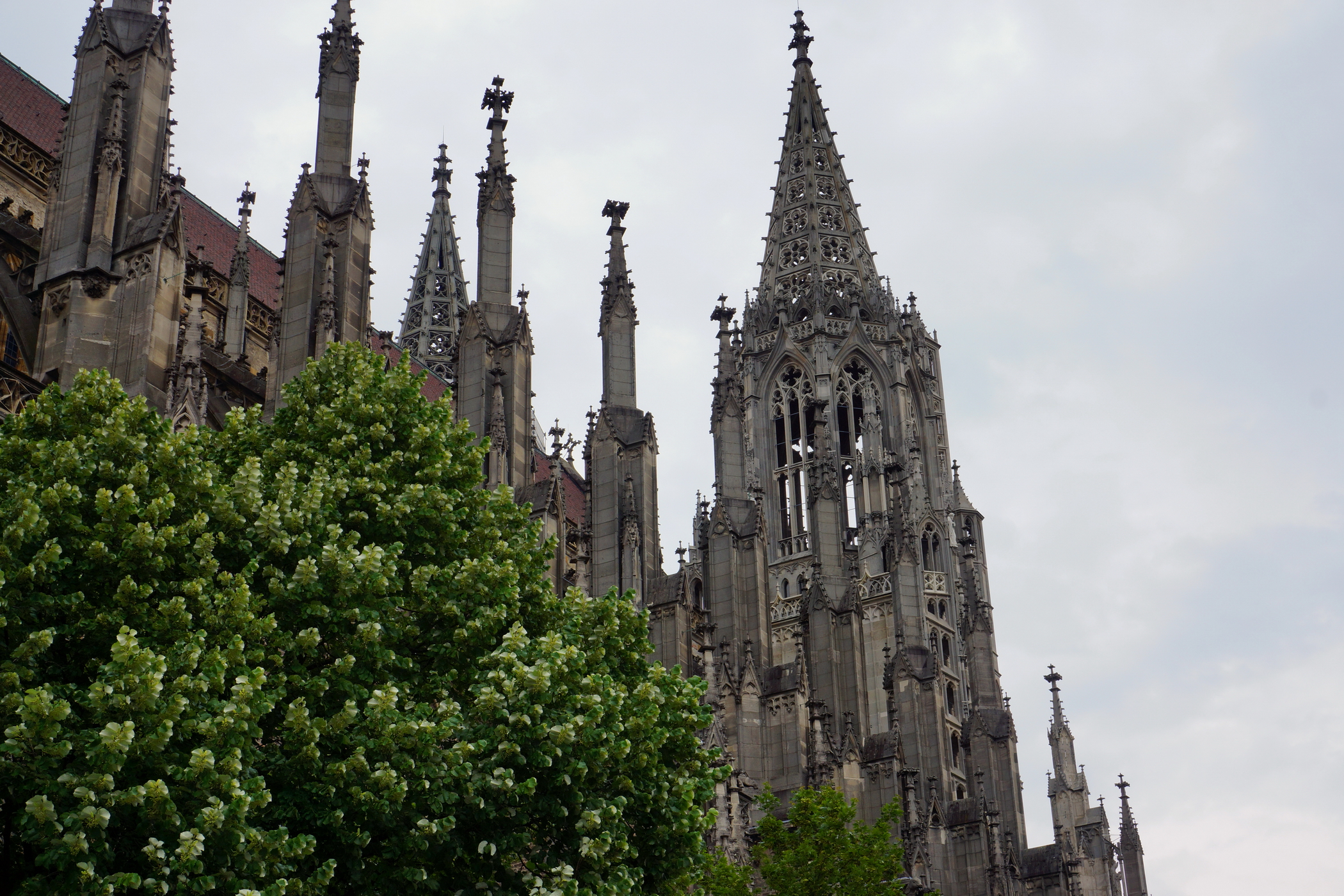 Ulm. Cathedral/Mnster 13771890