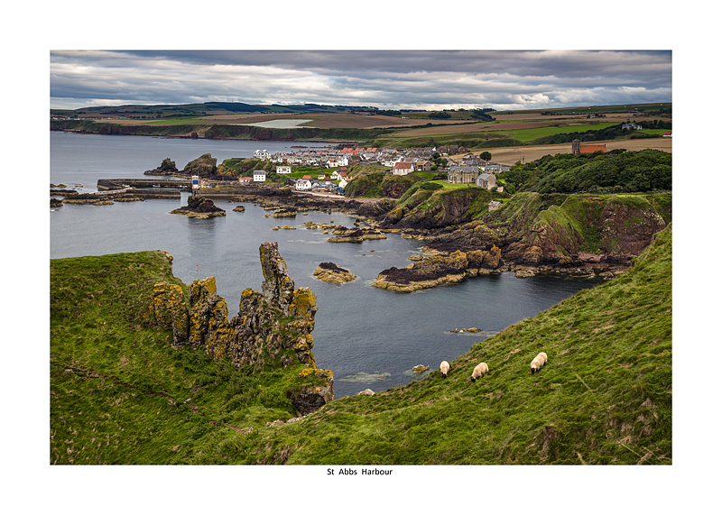 St Abbs Village