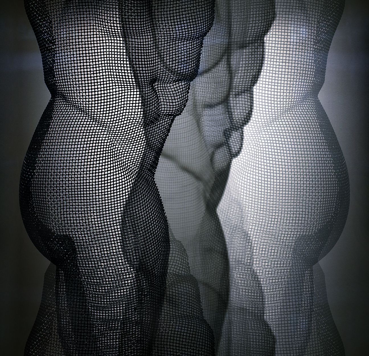 torso abstract