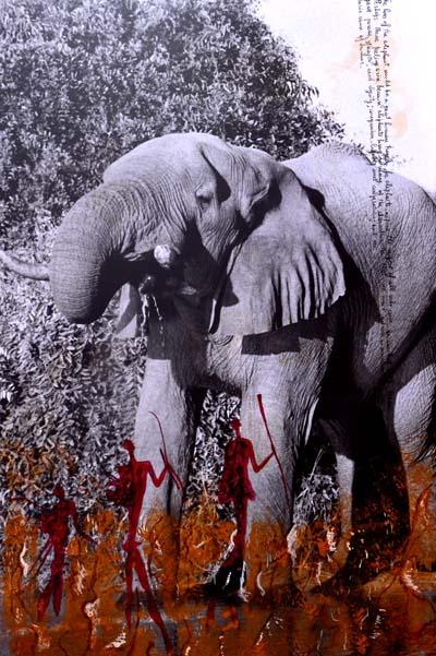 Quote from Beard No.2 - Elephants driking in Savuti, Botswana