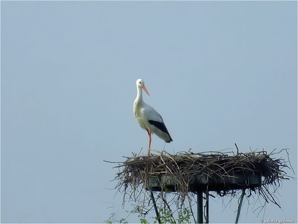 finep-4-2-2014-ijs-poel-pb 048.jpg