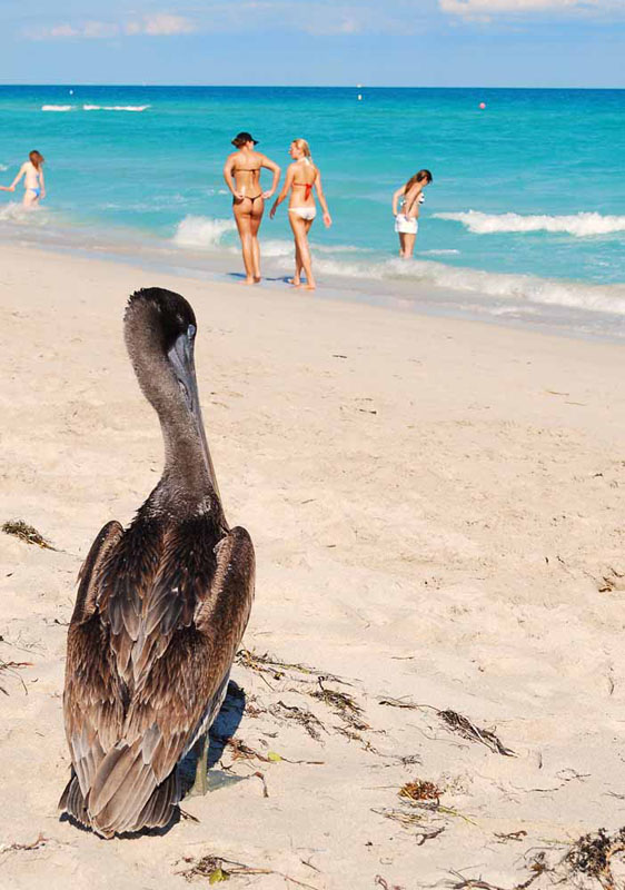 South Beach_07