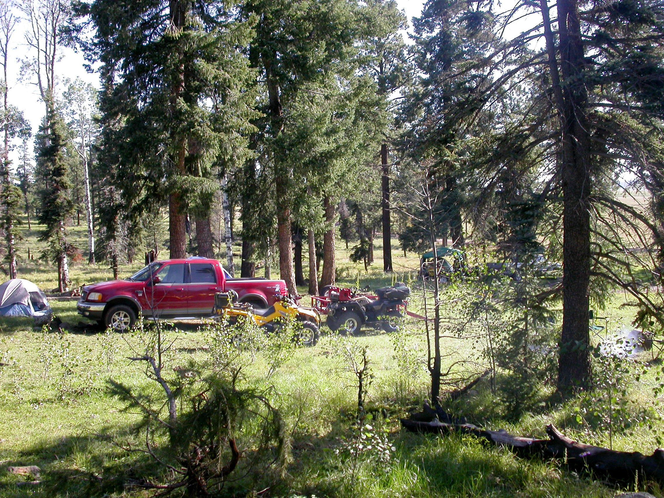 DSCN4631.JPG