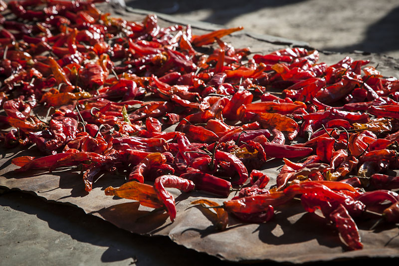 Chillies were drying everywhere