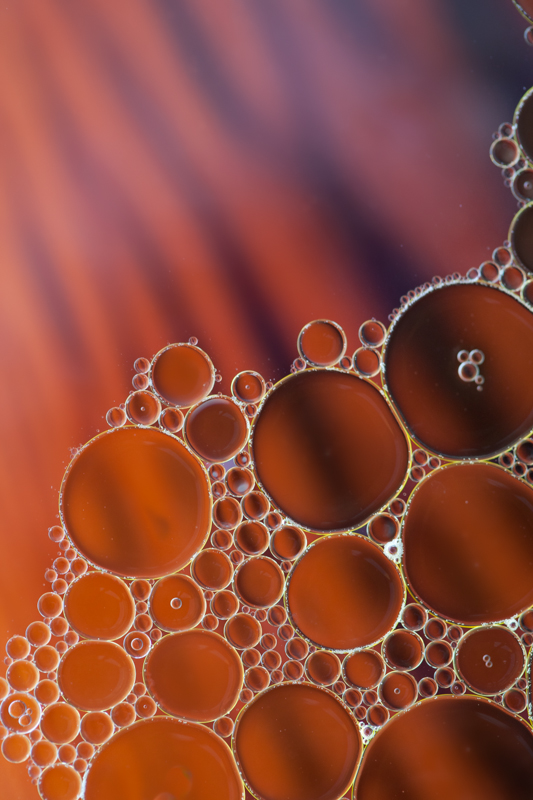 Oil_and_Water-14.jpg