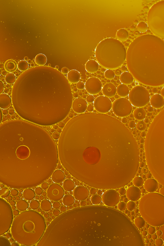 Oil_and_Water-15.jpg