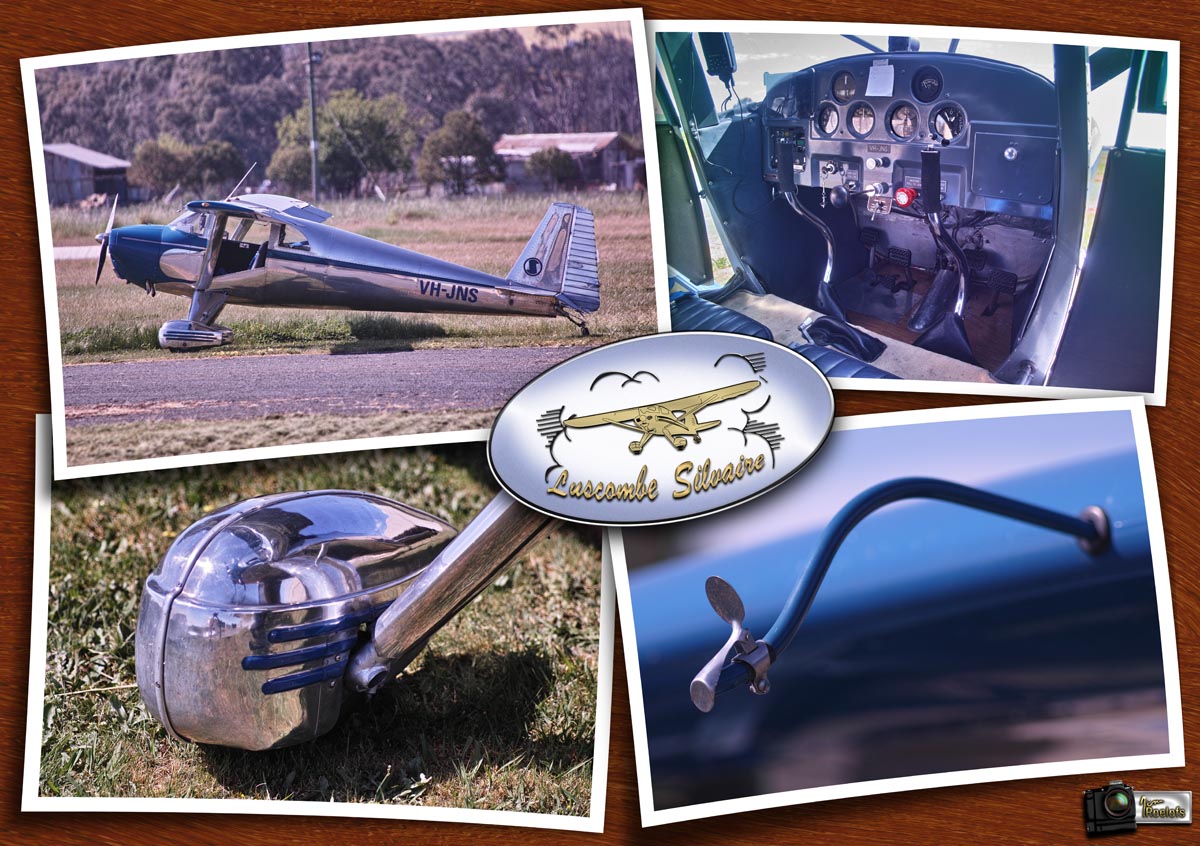 Luscombe Silvaire 8