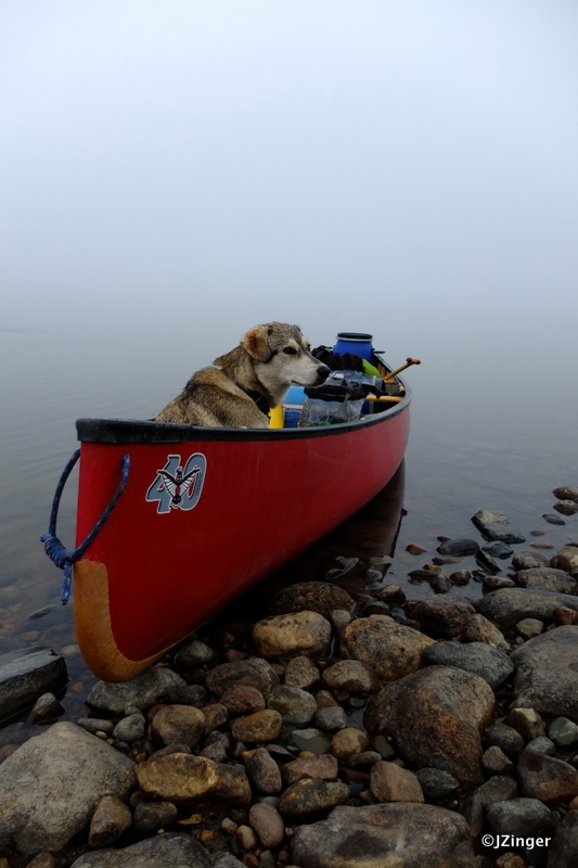 Paddling Trip down the  Mackenzie River