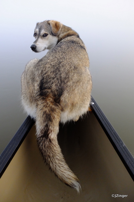 Paddling Trip down the  Mackenzie River