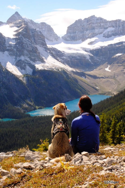 Views from Wonder Pass