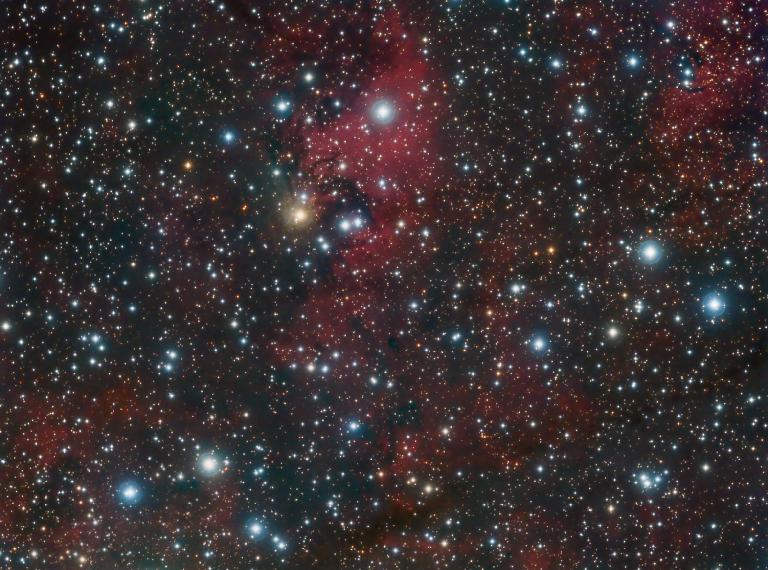 vdB 136, GN 20.36.5 (RNeb), LDN 906, Diamond Ring Cluster (IR OC), [KC97c] G081.5+00.6 (HII), TGU H491 P10 (DNeb); in Cygnus 