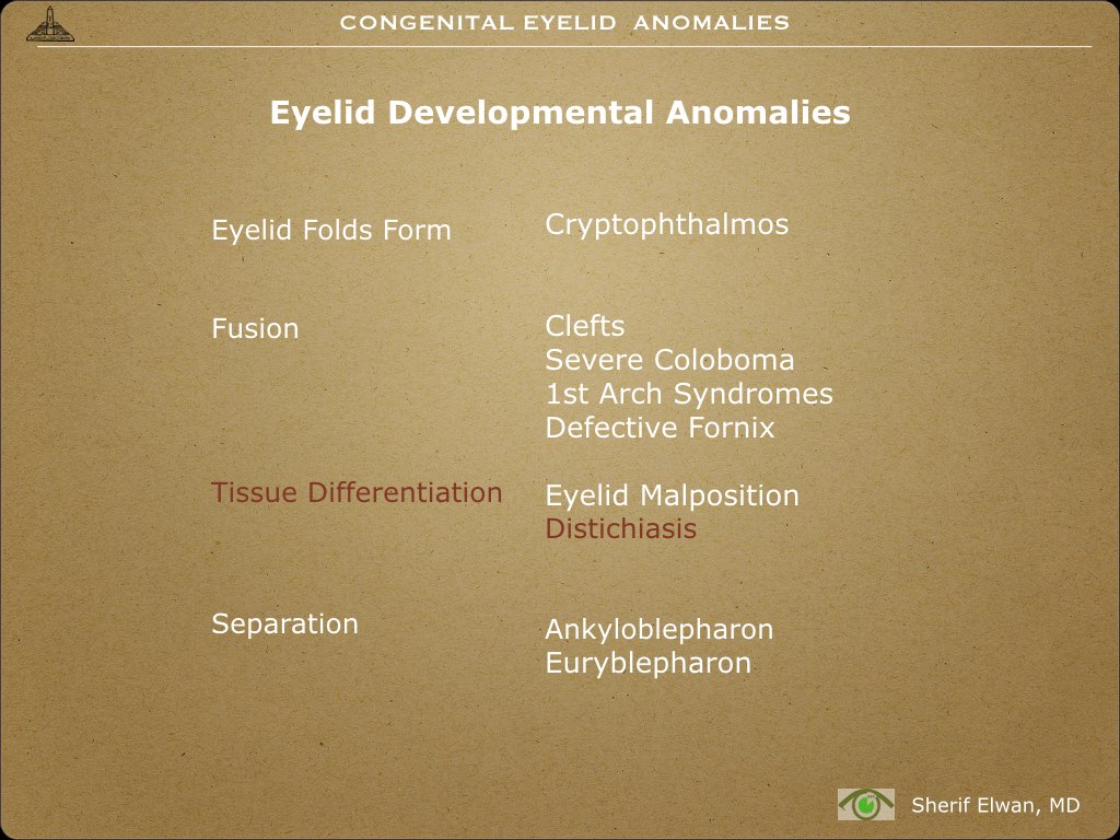 Pathology - Eyelids Cong Anom.023.jpeg
