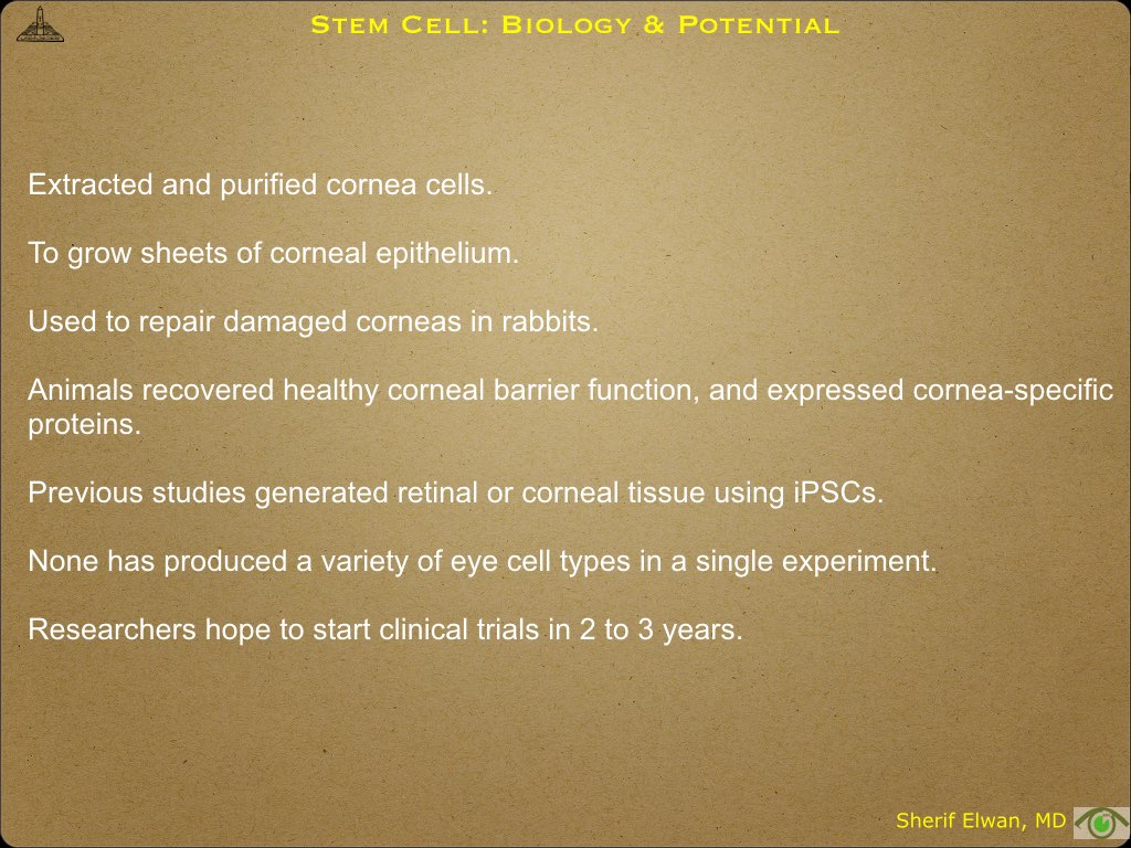 Pathology - Stem Cell.032.jpeg