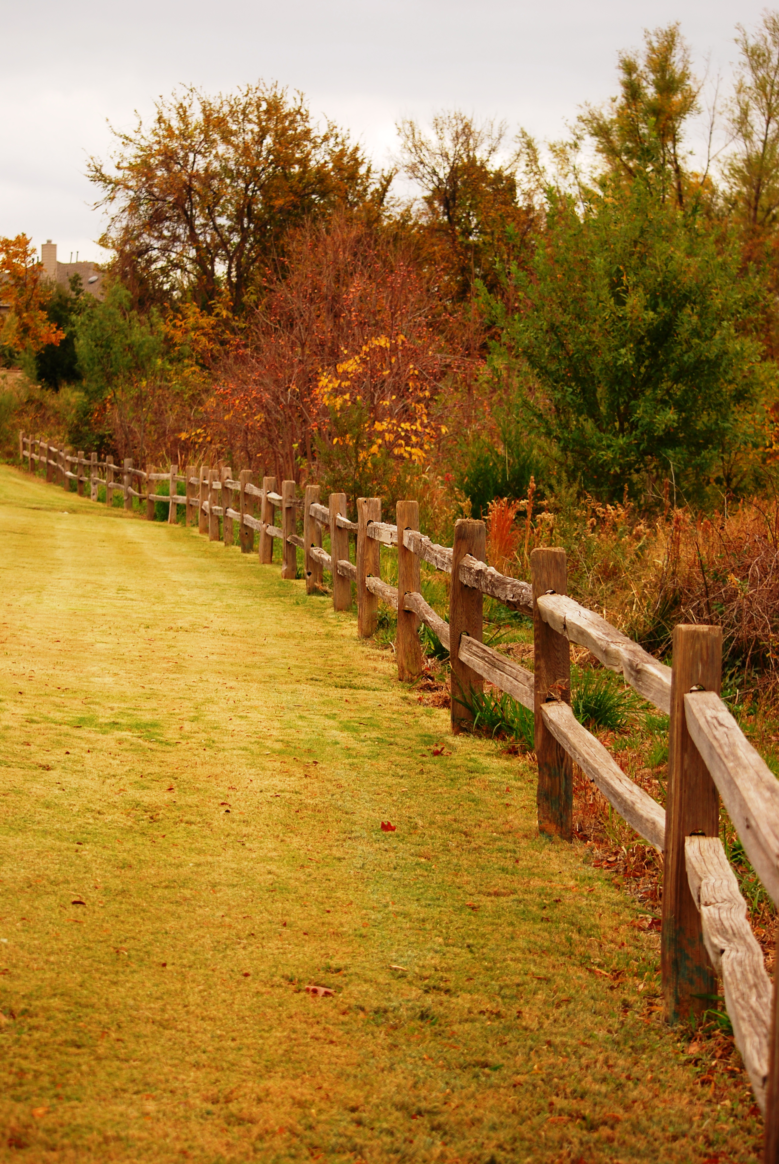 Fall