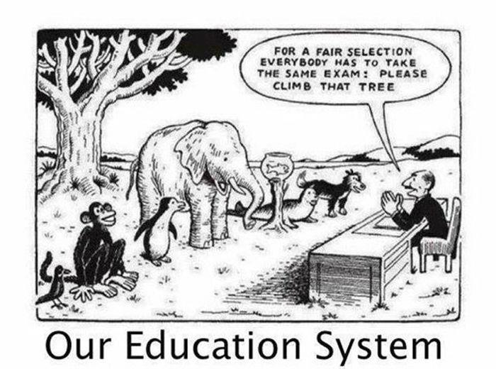 EDucation.jpg