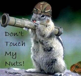 squirrels-nuts.jpg
