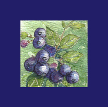 o9/28/34828/1/162639264.dg1zTDRt.blueberries.jpg