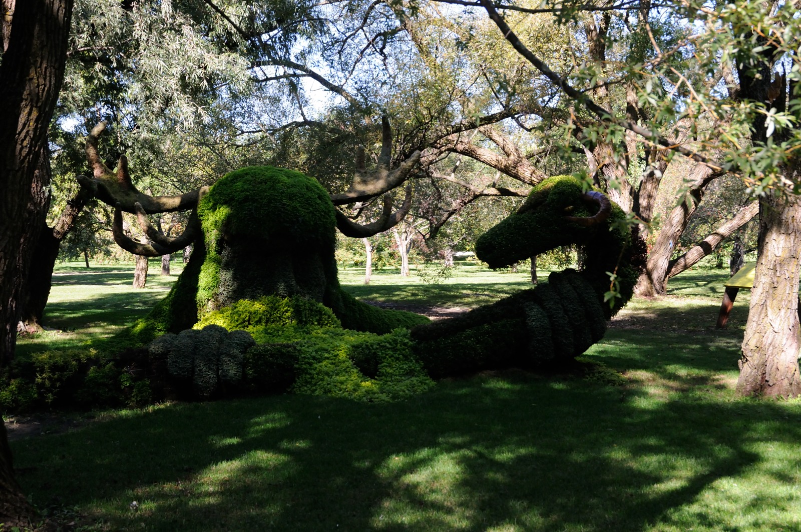DS0_2089.JPG