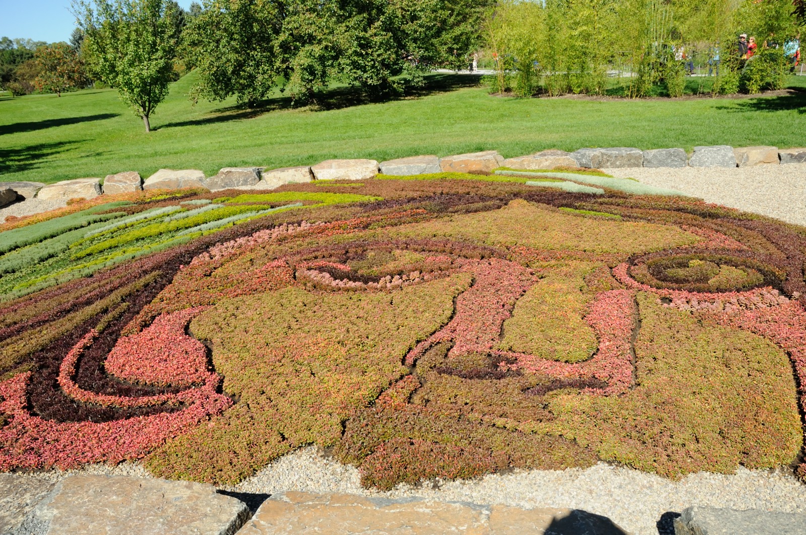 DS0_2104.JPG