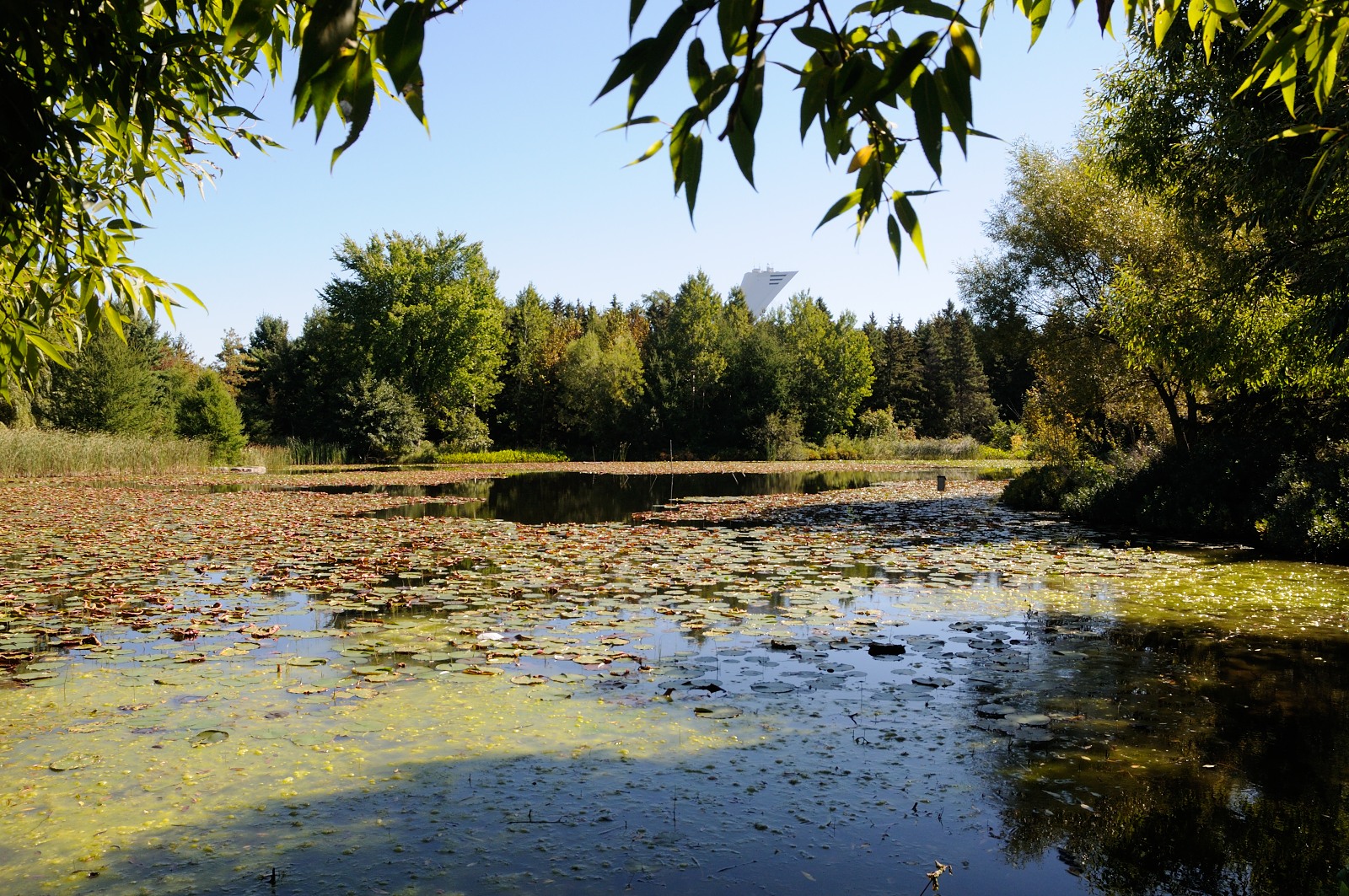 DS0_2107.JPG