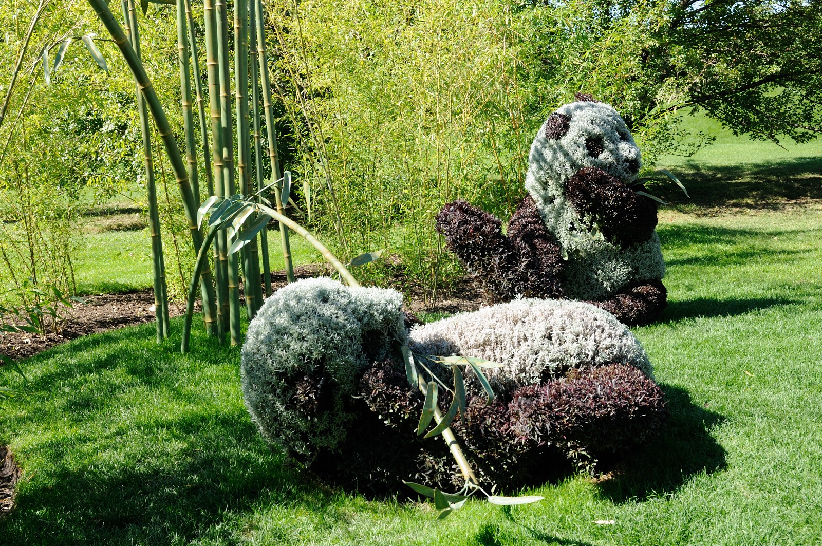 DS0_2114.JPG