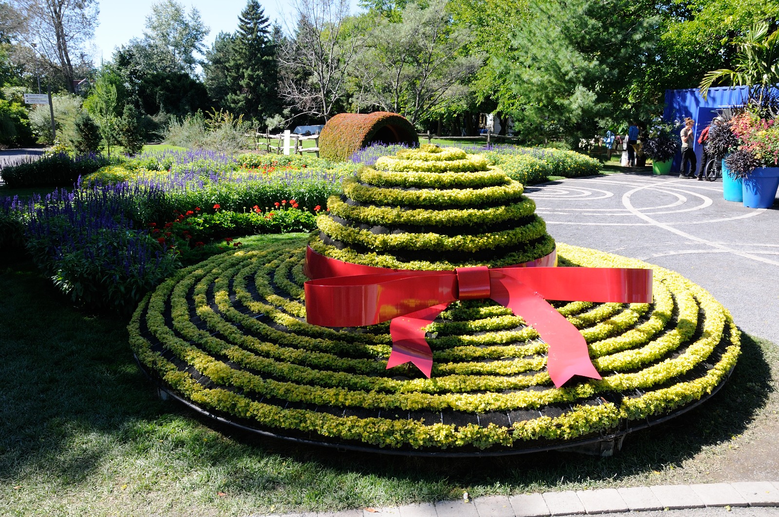 DS0_2121.JPG