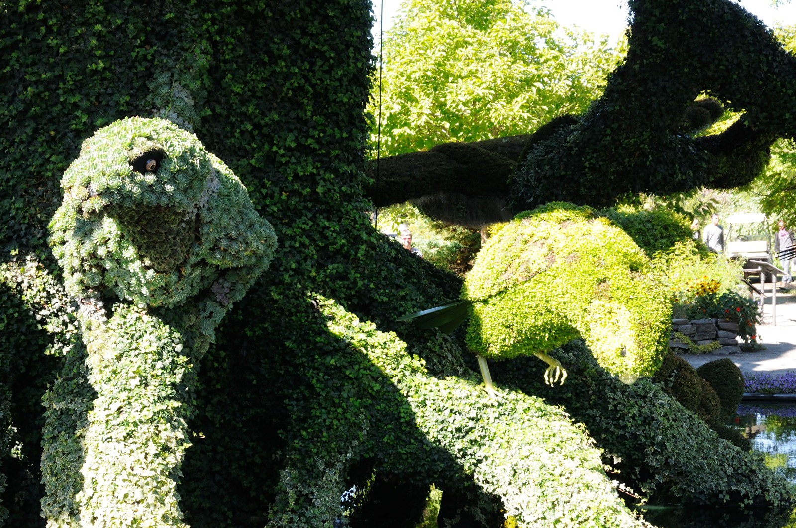 DS0_2128.JPG