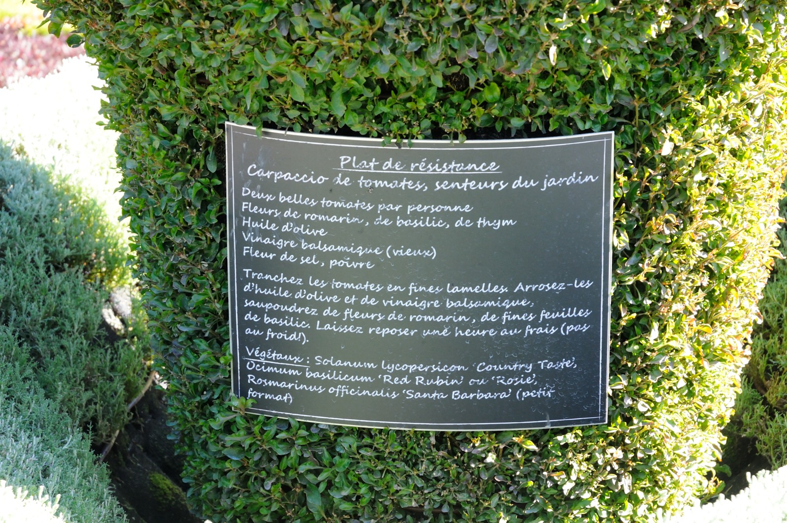 DS0_2139.JPG