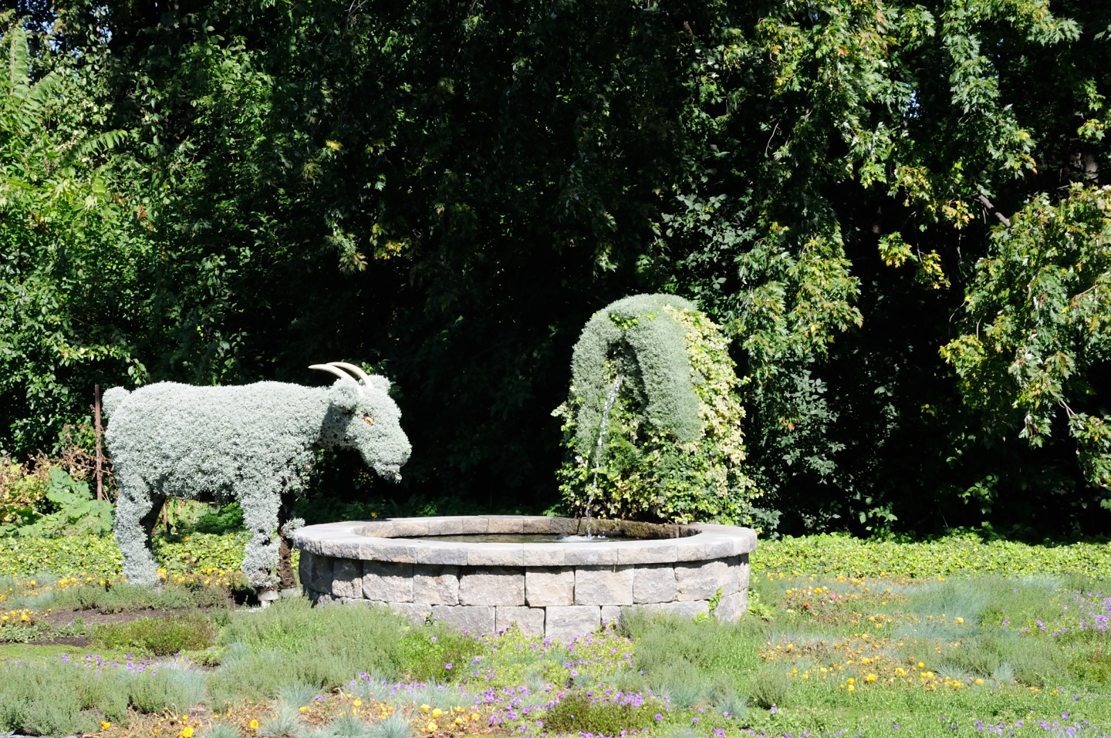 DS0_2162.JPG