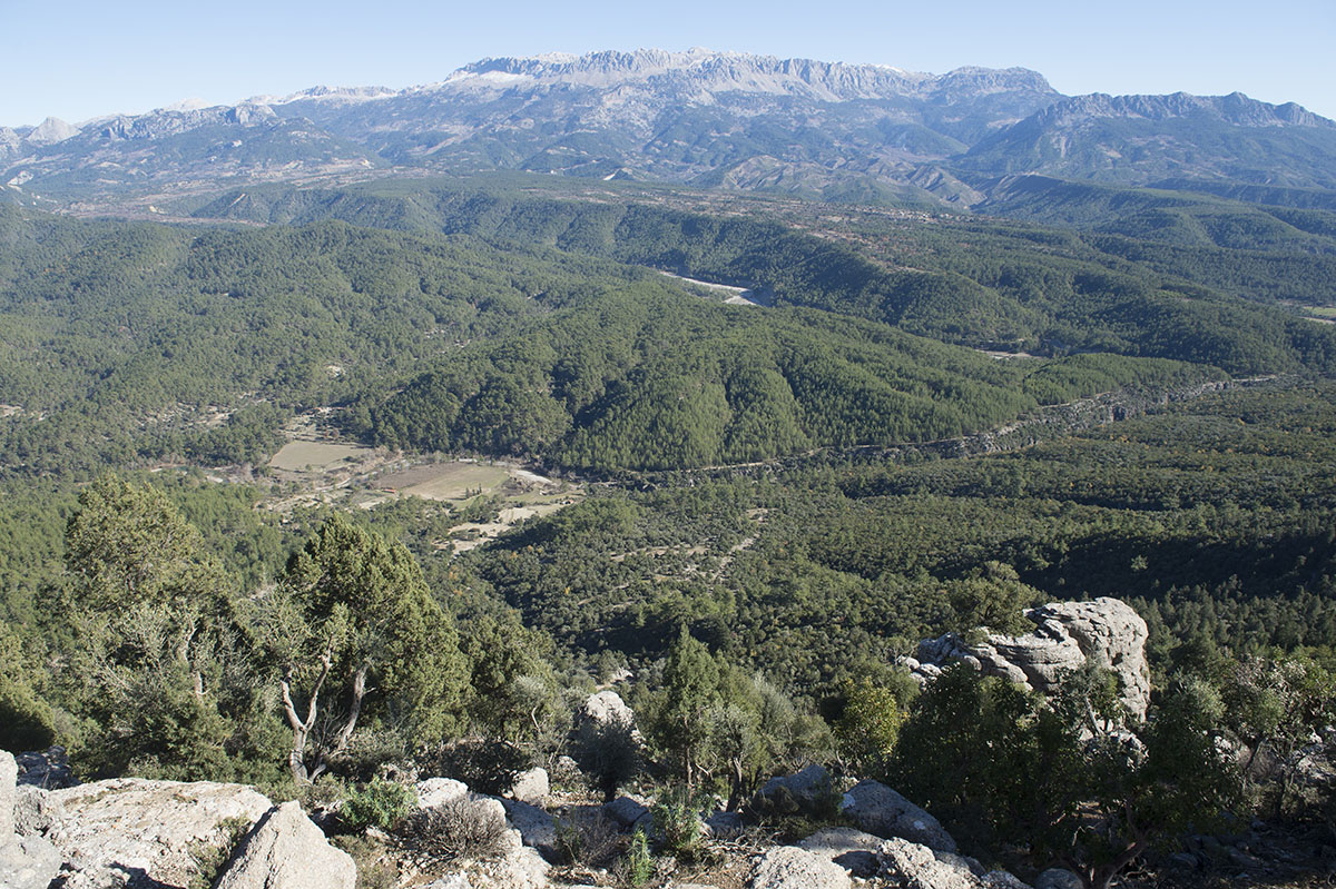 Selge December 2013 5077.jpg