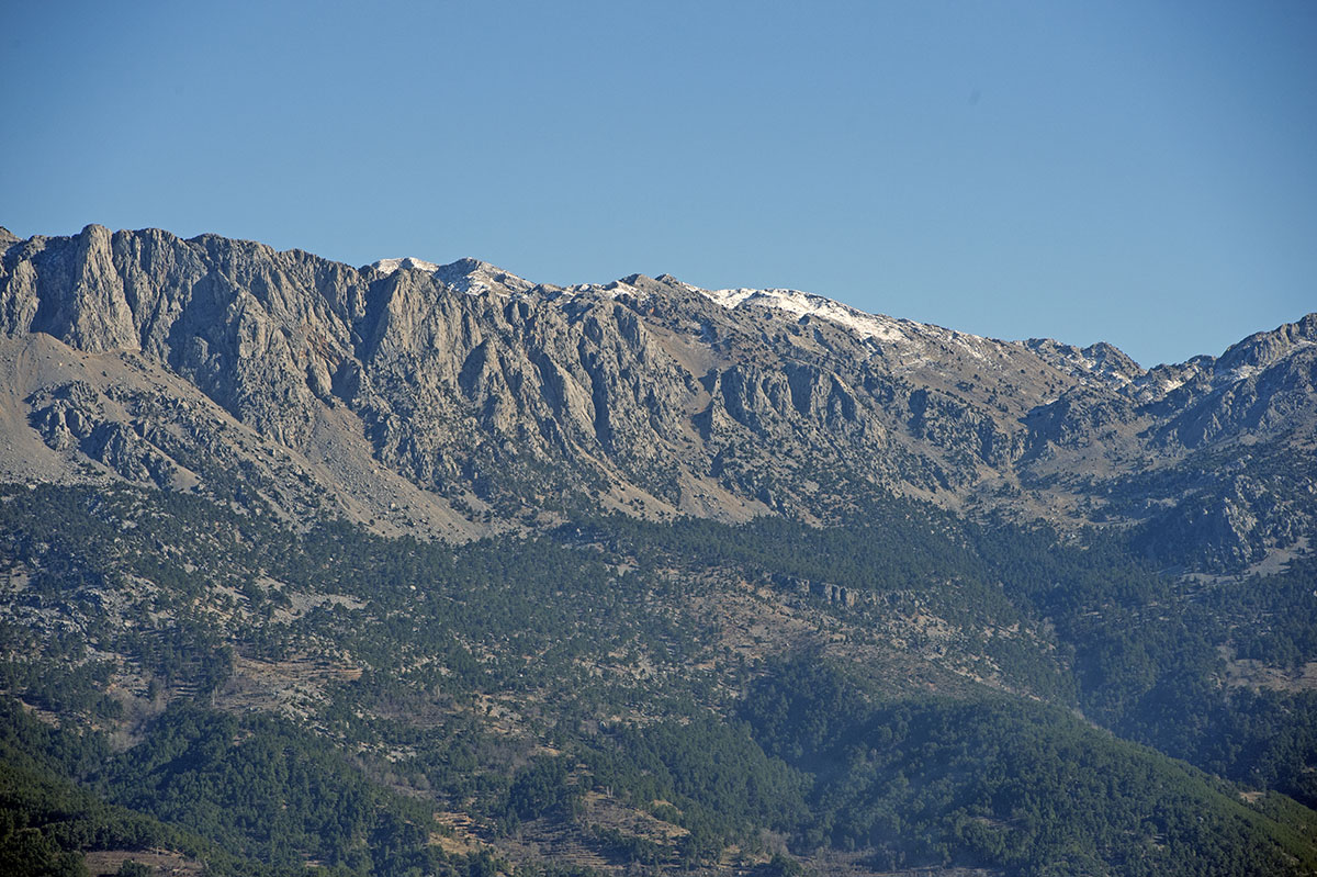 Selge December 2013 5082.jpg
