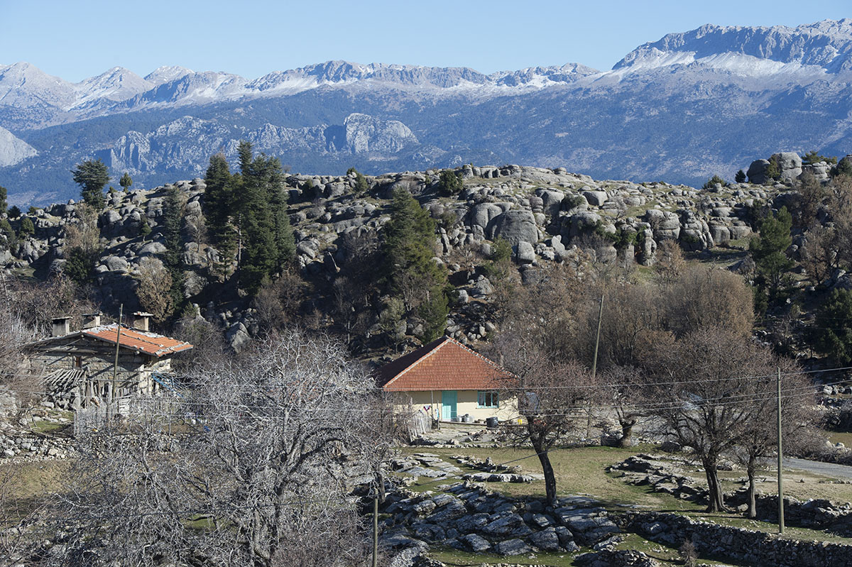 Selge December 2013 5089.jpg