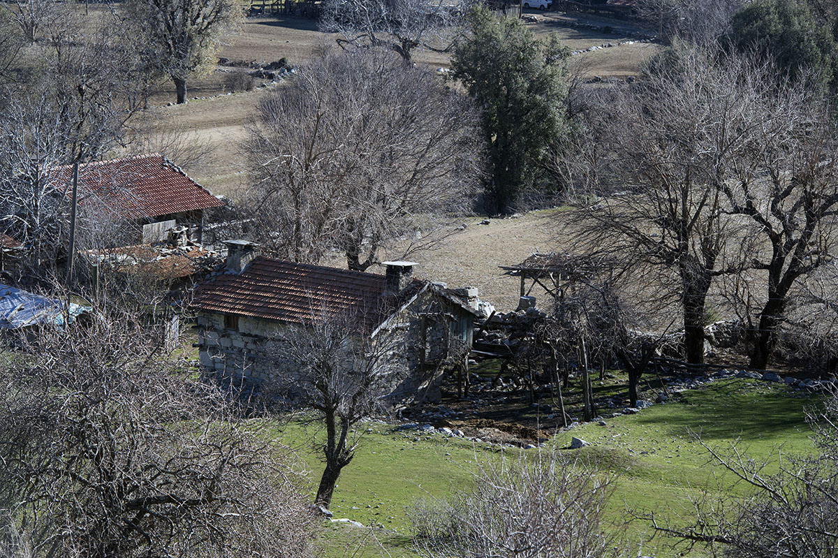 Selge December 2013 5095.jpg