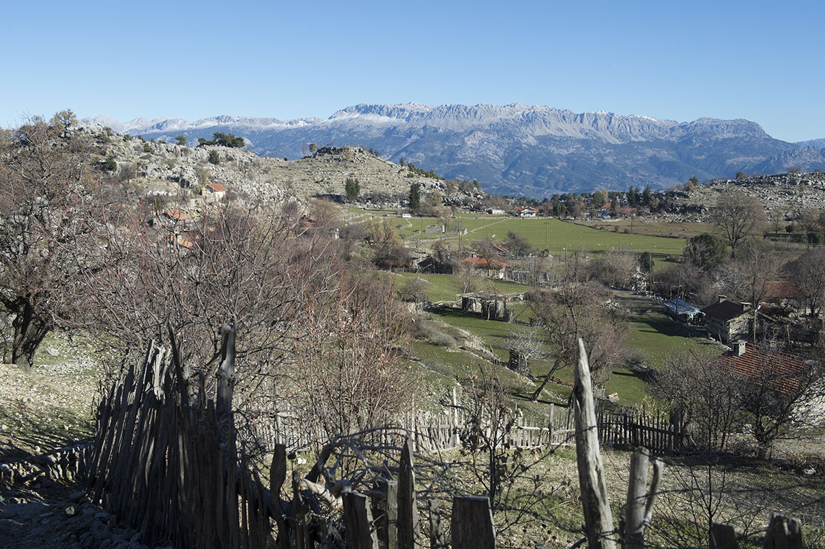 Selge December 2013 5146.jpg