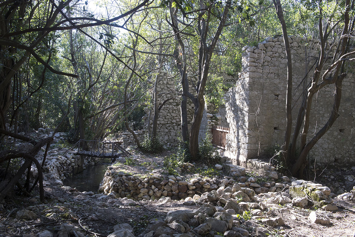 Olympos December 2013 4054.jpg