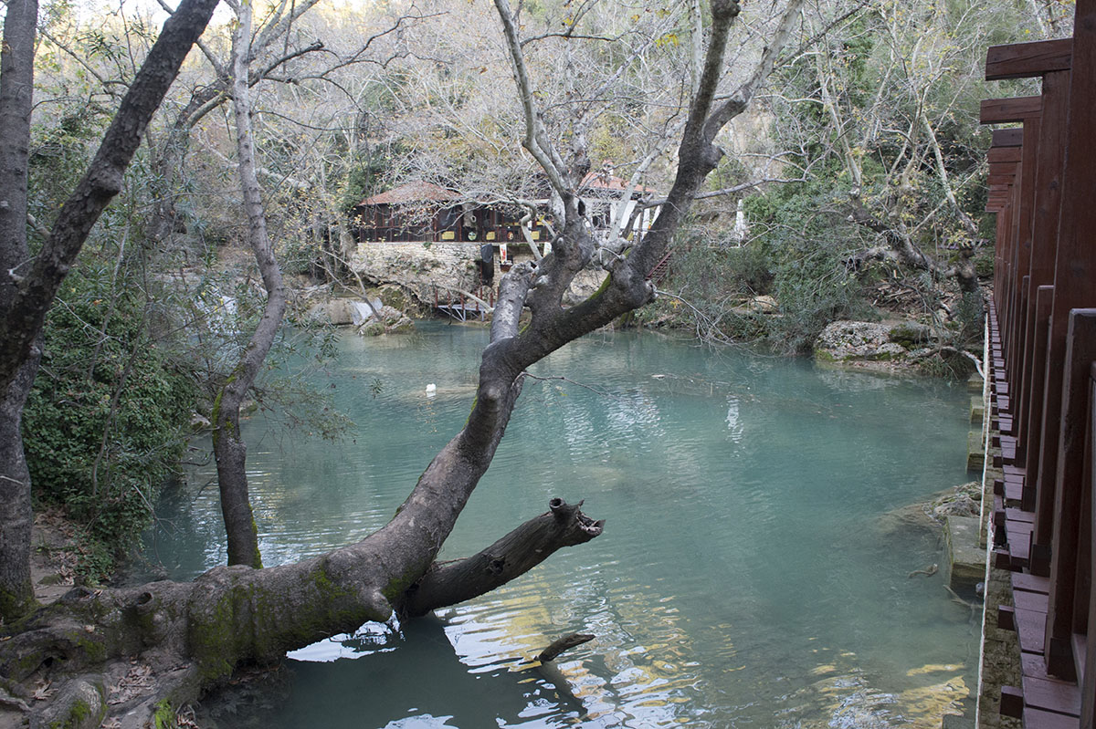 Kursunlu December 2013 3100.jpg