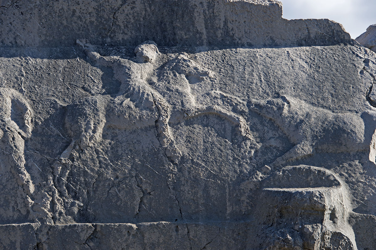 Xanthos December 2013 4395.jpg