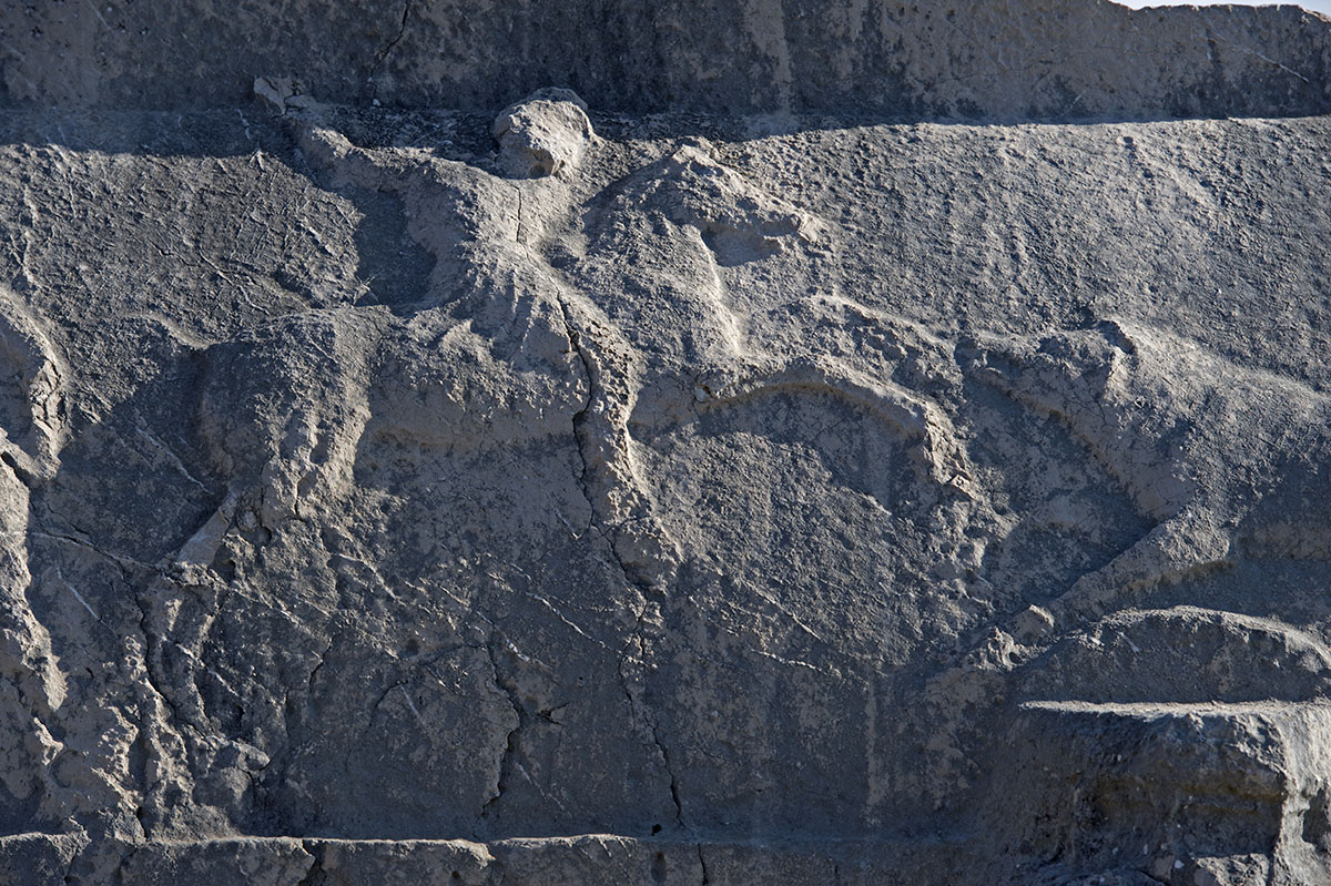 Xanthos December 2013 4397.jpg