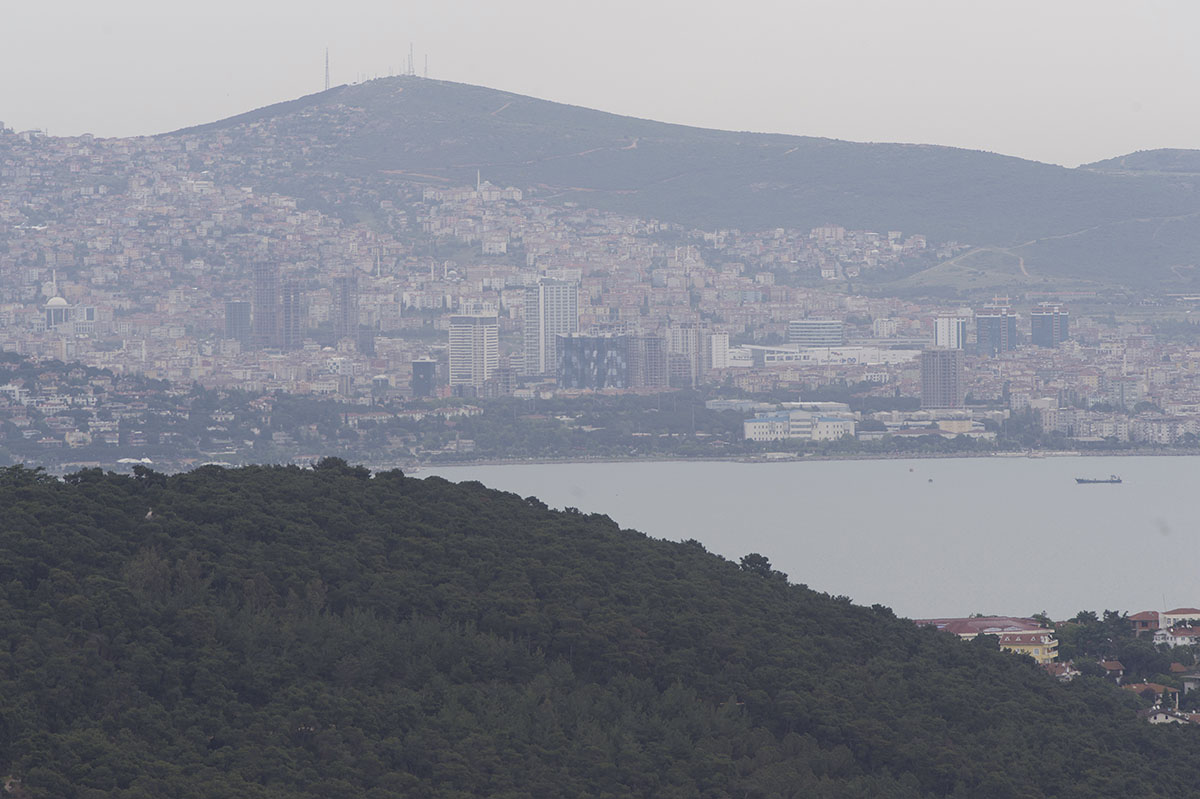 Istanbul Big Princes Island May 2014 6577.jpg