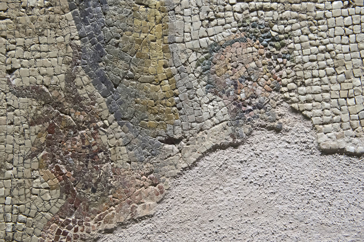 Gaziantep Zeugma Museum september 2014 2469.jpg