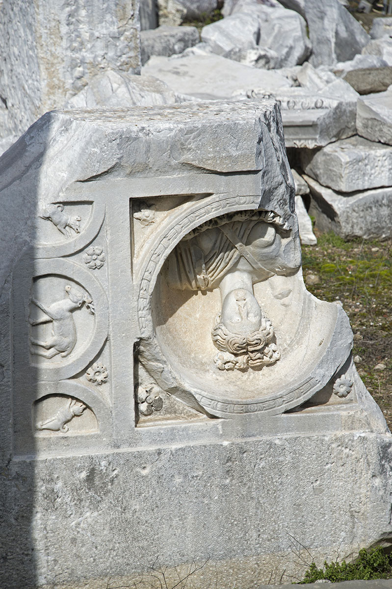 Side feb 2015 6141.jpg