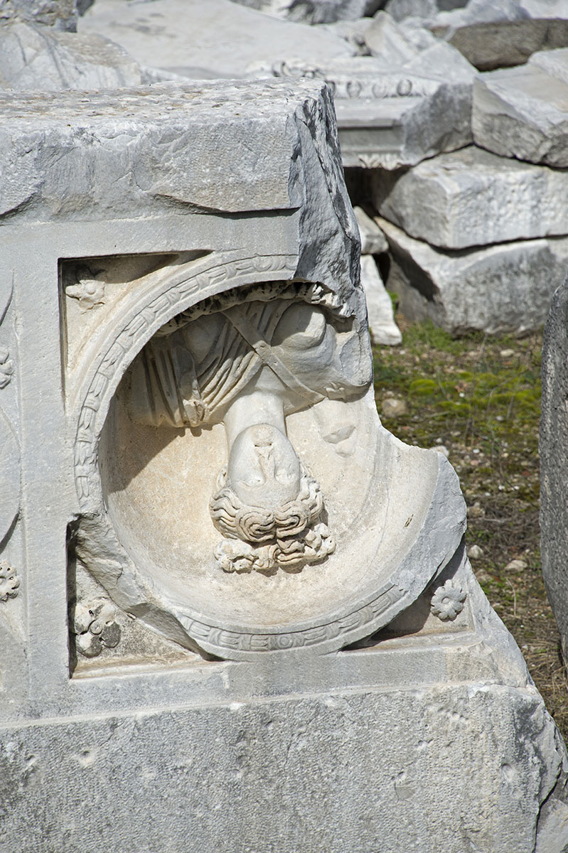 Side feb 2015 6142.jpg