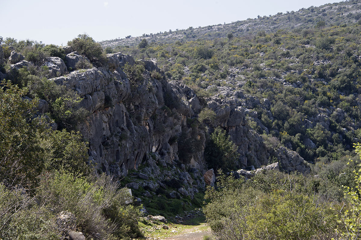 Canakci rock tombs march 2015 6780.jpg