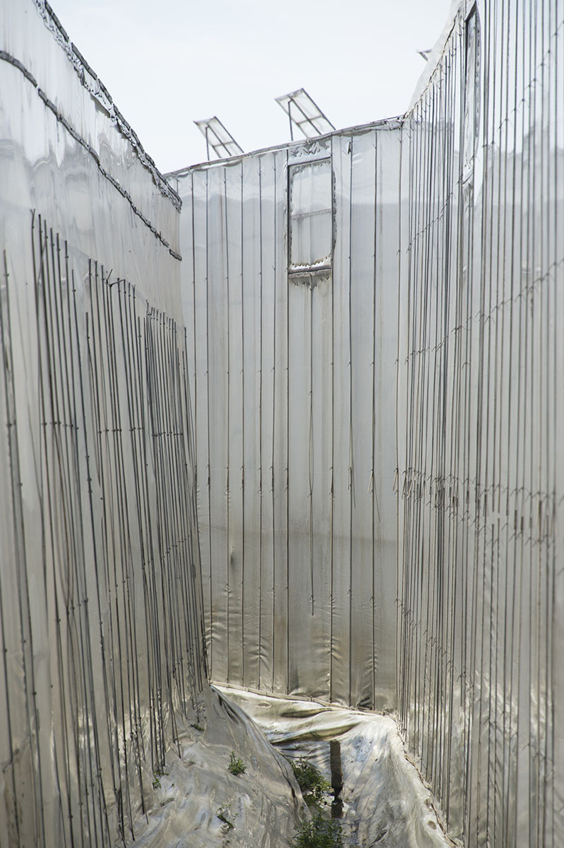 Anemurion March 2015 7211.jpg