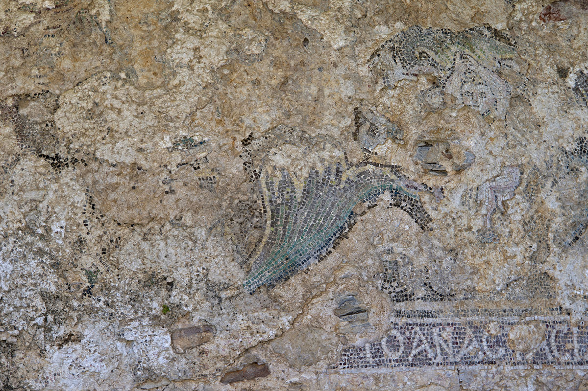 Anemurion March 2015 7340.jpg