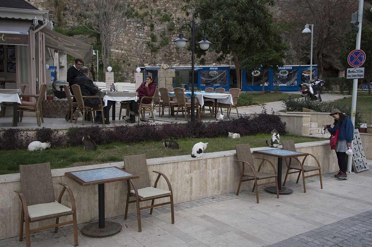 Antalya harbour area feb 2015  5656.jpg
