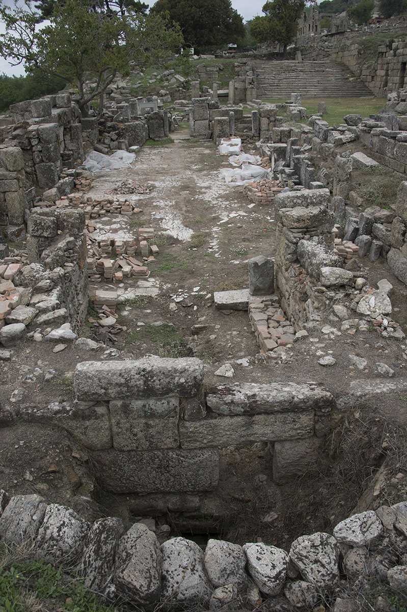 Labraunda October 2015 3798.jpg