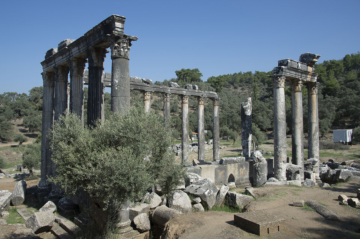 Euromos October 2015 3437.jpg