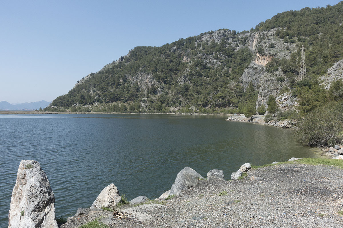 Dalyan 2016 2769.jpg