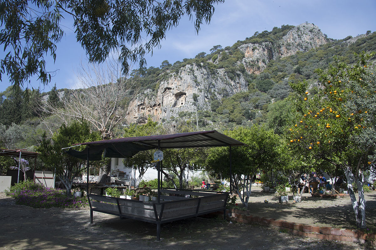 Dalyan 2016 6792.jpg